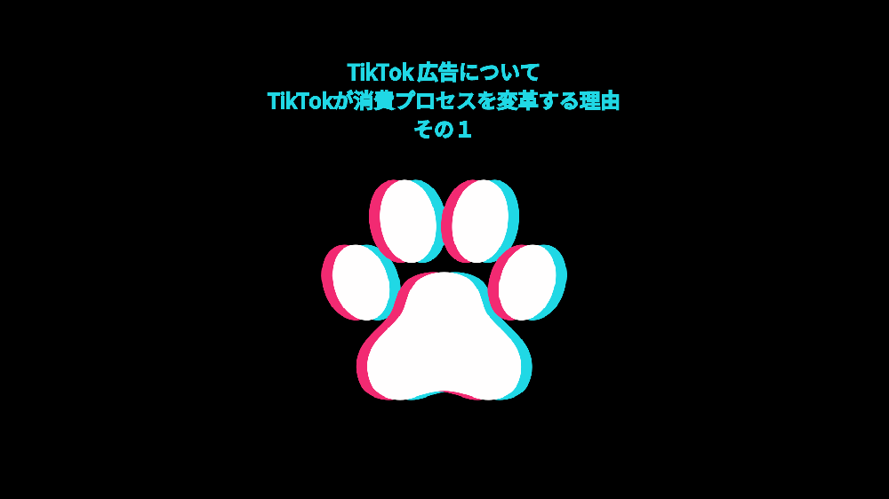 TikTok広告シリーズその１