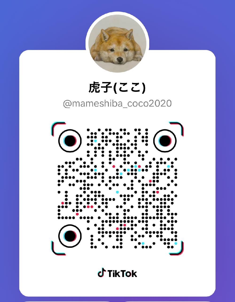 ここちゃんのTikTokアカウントのQRコード