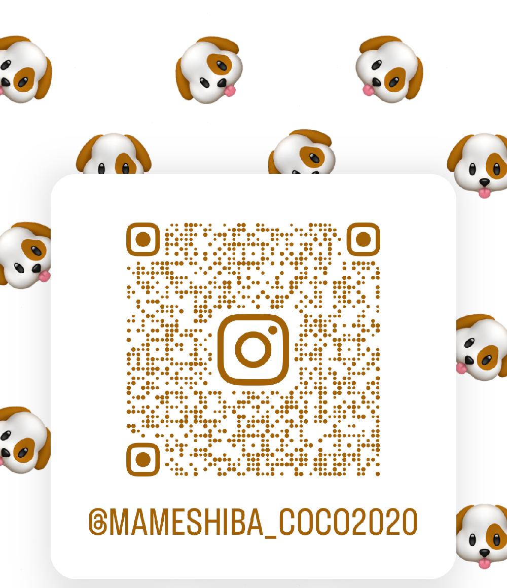 ここちゃんのInstagramアカウントのQRコード