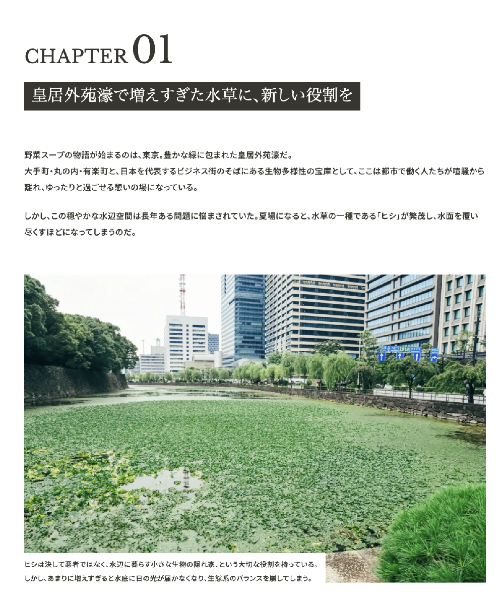 プロジェクトの画像　皇居の菱の写真